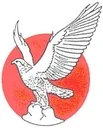 National Cement Company psc
