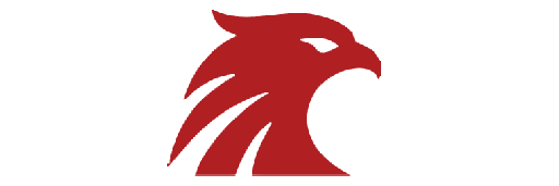 Modern Falcon Enterprises LLC (MFE)