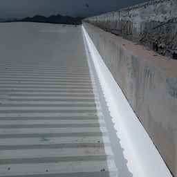 SAB Liquid Silicone Gutter Waterproofing Coating