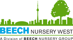 Beech Nursery West