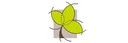 Gulf Contracting & Landscape (GCL)