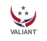 Valiant Integrated Services