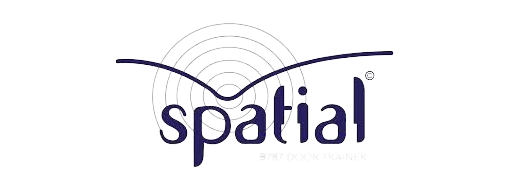 Spatial Composite Solutions FZ L.L.C