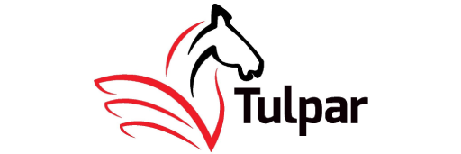 Tulpar Global Taxation